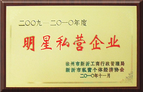 明星私营企业